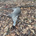 Hunter Gaither - Facebook