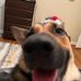 Hunter Giles - Facebook