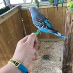Hunter Goodwin - @hunter_travels123 - Instagram