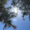 H - @hunter._.goss - TikTok