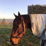 @hunter_goss_ - Instagram