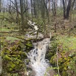 Hunter Gurney - @huntermg350 - Instagram