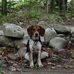 Hunter Rae Hackett - Facebook