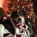 Michelle Hunter-Hackett - Facebook
