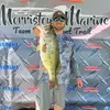 Hunter Hamilton - @hunt_ham7 - TikTok