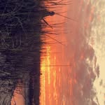 Hunter Hammock - @hunterdale_____88 - Instagram