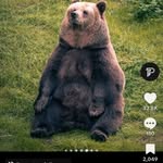Hunter Hand - @hunter851371 - Instagram