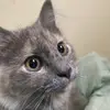 Hunter Helm - @hunter.helm - TikTok