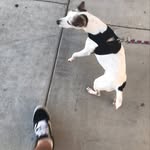 @hunter_helmsleys_haven - Instagram