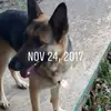 Hunter Hernandez - @awesomehunter1234567 - TikTok