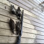 Hunterjosephhigdon - @hunterjosephhigdon8523 - Instagram