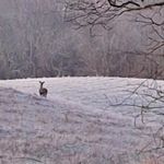hunter higginbotham - @higginbotham1353 - Instagram