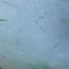 hunterholcomb337 - @hunterholcomb337 - TikTok