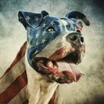 Hunter Holder - @hunterholder4 - Instagram