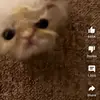 Hunter Hudspeth - @hunter.hudspeth - TikTok