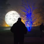 Detlef Treude - @hummelhunter64 - Instagram