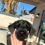 Huntley Hunter - @huntleyhunterhughes - Instagram