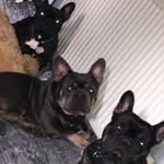 Louise Hunter - @bailey_huntley11 - Instagram