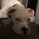 HunTer Hurst - @walrus_ballz_2 - Instagram
