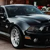Hunter Hurst - @savage43451564 - TikTok