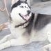 Hunter Huskey - Facebook