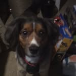 Hunter Huskey - @huskey_h - Instagram