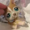 Lps.hunter639 - @hunter.huskey - TikTok
