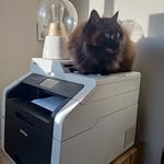 Hunter Irvine - @mr.loafing - Instagram