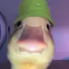 Hunterisbell - @isbelskqu2y - TikTok