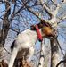 Hunter Corner Jack Russell Terriers - Facebook