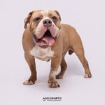 J Hunter Jacques - @lionheart182184 - Instagram