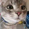 Hunter Jameson - @hunter.the.kittie - TikTok
