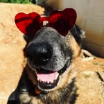Hunter Jamison - @lamo_thedude - Instagram