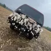 hunterjamison88 - @hunterjamison88 - TikTok