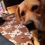 Hunter Jankowski - Facebook
