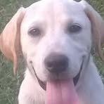 Hunter Jaramillo - Facebook