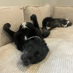 Hunter  Jinks-Kurtz - @hunterjinkskurtz - Instagram