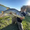 Hunter Johnson - @hunterjohnson7 - TikTok