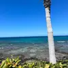 Hunter - @hunter.judd.55 - TikTok