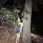 Hunter Judd - @judd1566 - Instagram