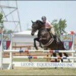 Connie Whitaker - @hunterjumpercd - Instagram