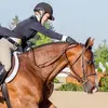 Hunter jumper - @chloe.hunterjumper - TikTok