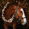 Hunterjumper@ - @anjah.r.y14 - TikTok