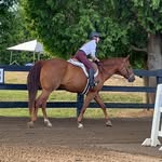 Katie Conlin - @hunter_jumper177 - Instagram