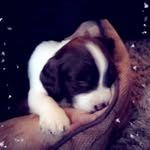 Hunter kane - @hkane722a - Instagram