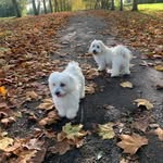 Hunter Kane & Ryder Chase - @hunterthecoton - Instagram