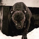 Hunter kaufman - @kaufmhun - Instagram