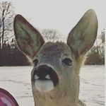 Hunter Kaufmann - @hunterturtlekaufmann - Instagram
