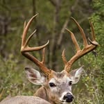 Hunter Keck - @hunter_keck22 - Instagram