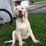 Hunter Kephart - Facebook